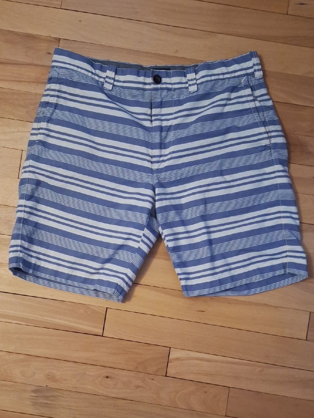 J. Crew Blue and White Striped Men’s Shorts